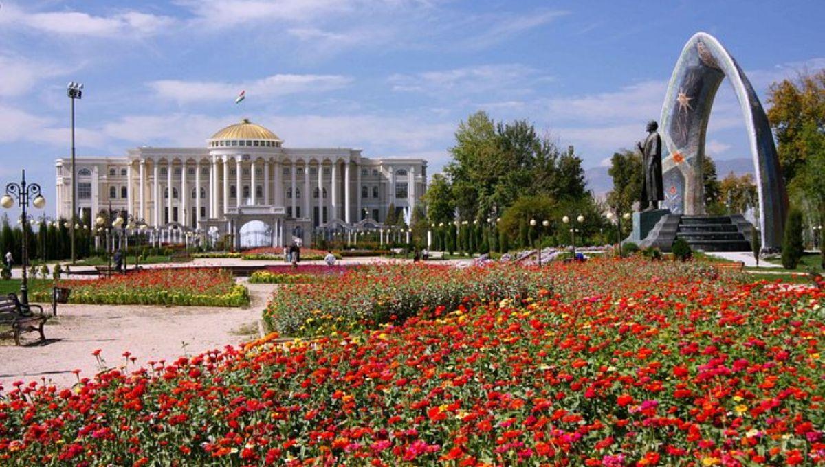 Turkish Airlines Dusanbe Office in Tajikistan