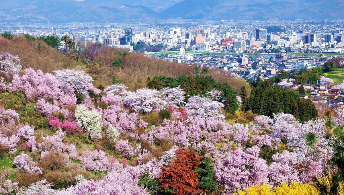 Emirates Airlines Fukushima Office in Japan