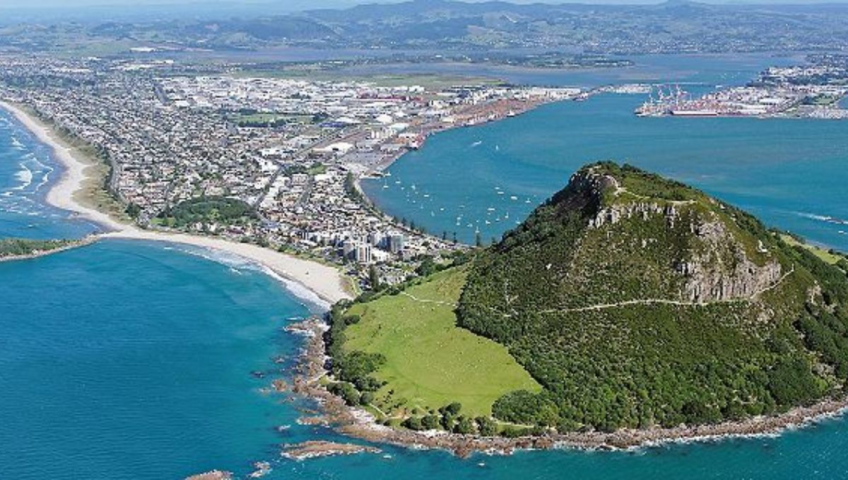 Air New Zealand Tauranga Airport Office