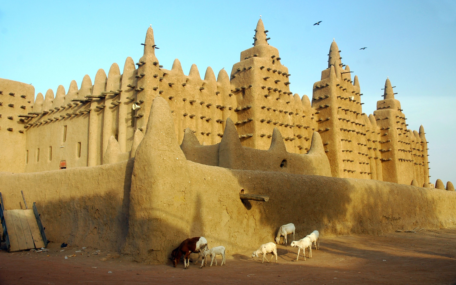 Turkish Airlines Mali Office